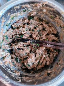 荠菜羊肉包子馅的做法大全_冬日暖身蒸包子，孜然羊肉馅补气血！