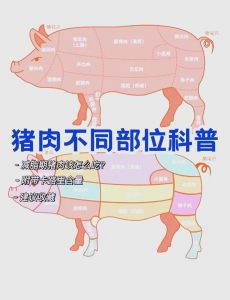 猪都有哪些部位_猪肉各部位口感做法大不同