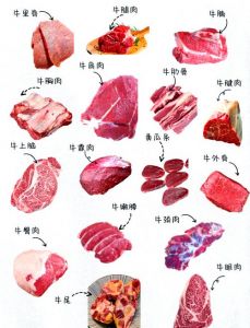 牛腩是牛的哪个部位一图秒懂牛身各部位_牛腩炖煮正当时！