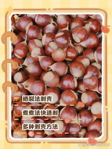 剥好的熟栗子怎么保存_熟栗子怎么保存？冷藏冷冻方法大公开