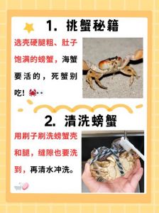 蒸大闸蟹正确方法蒸几分钟_蒸大闸蟹时间看大小，鲜嫩不柴有窍门！