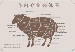 羊肉部位肉详细分解图_各有所长，吃对更美味！