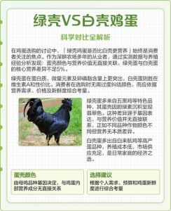 绿壳蛋和白壳蛋有什么区别_颜色营养口感大不同
