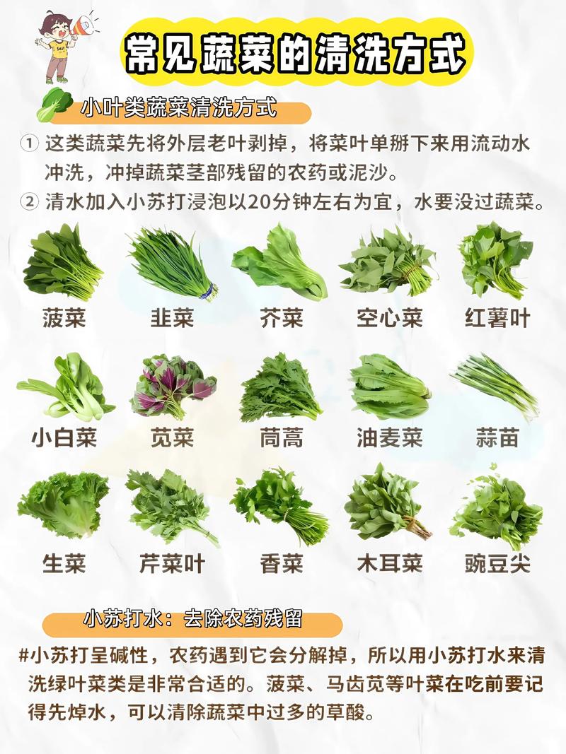 蔬菜焯水的作用_蔬菜焯水小技巧，营养又美味！
