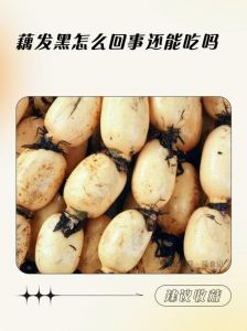 莲藕里面发黑怎么处理_莲藕发黑怎么办？简单处理方法分享