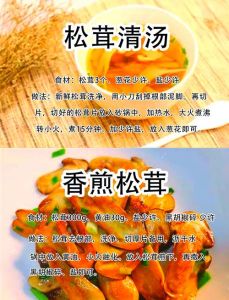 干松茸家常做法大全_清洗松茸快炒炖鸡味鲜美