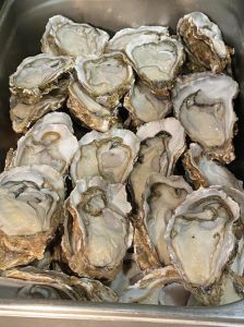 剥了壳生蚝蒸10分钟熟吗_时间火候蘸料全攻略