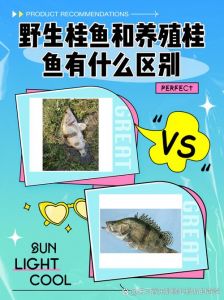 鳜鱼和桂鱼是什么区别_鳜鱼就是桂鱼，鲜美健脑，贵点但值得！