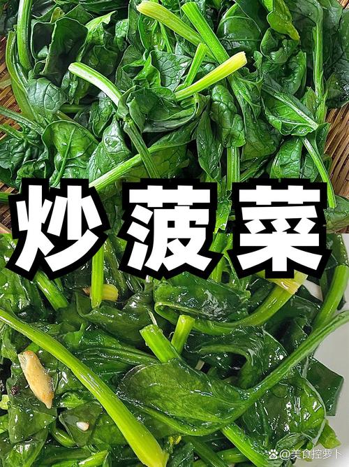 菠菜可以不焯水直接下在锅里吗_菠菜焯水去草酸伤营养？看情况来吃