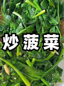 菠菜可以不焯水直接下在锅里吗_菠菜焯水去草酸伤营养？看情况来吃