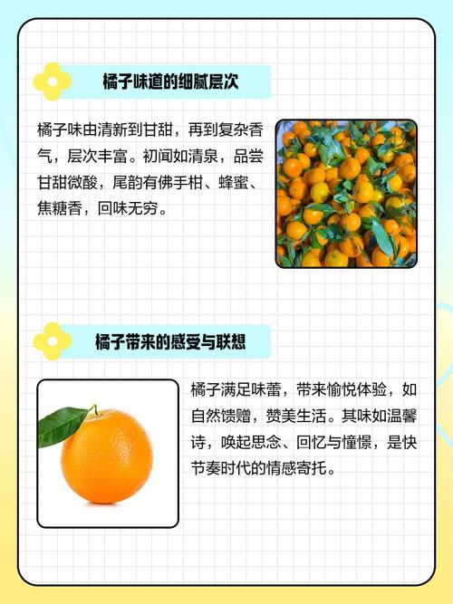 国产免费精品桔子的美食文化探秘：深入了解精品桔子在中国食材中的应用及区域特色