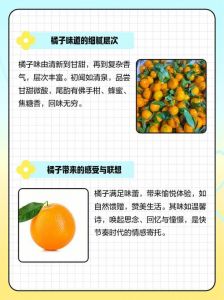 国产免费精品桔子的美食文化探秘：深入了解精品桔子在中国食材中的应用及区域特色