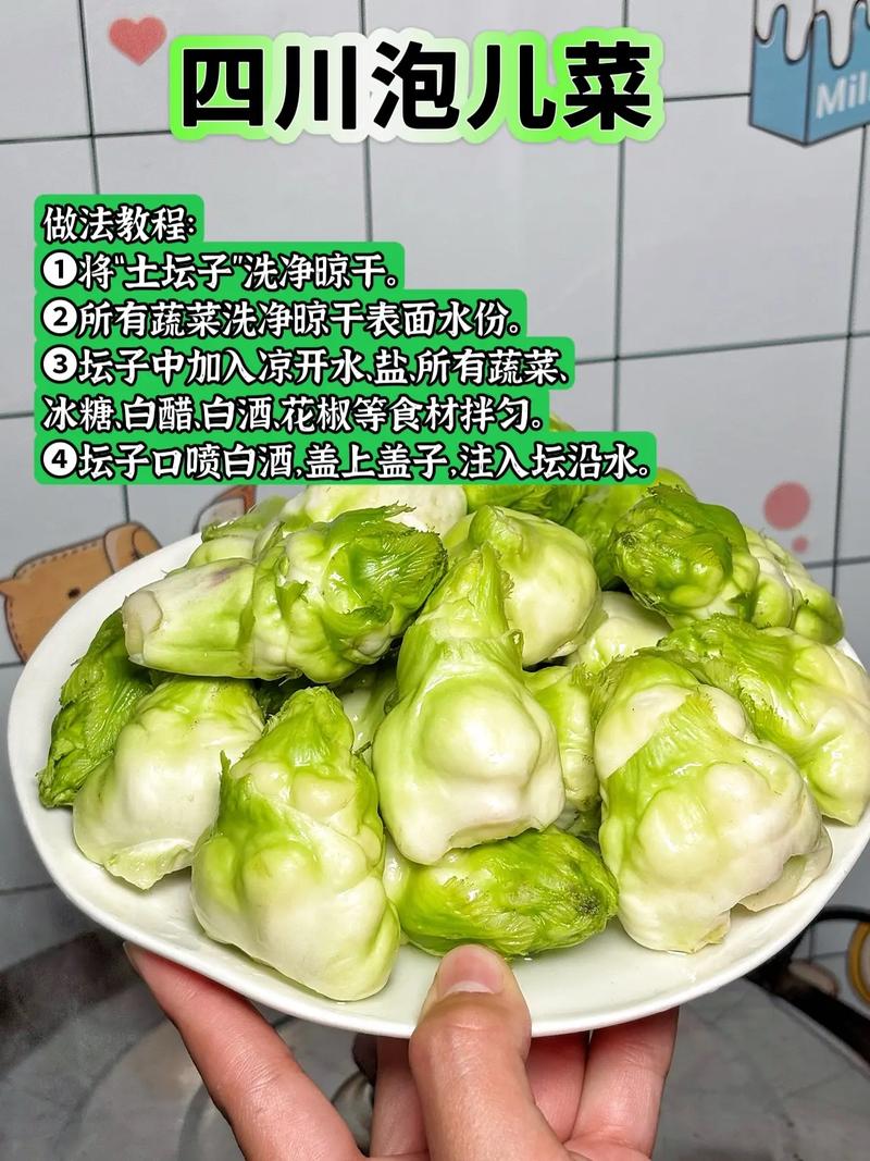 儿菜图片大全及做法_儿菜脆甜营养,冬日润肠好食材 儿菜图片大全及做法_儿菜脆甜营养,冬日润肠好食材