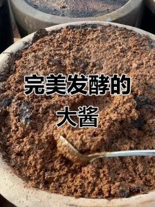 大酱块子怎么能发酵好_选黄豆发酵60天，风味醇厚