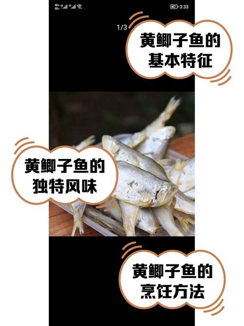 黄鲫鱼有刺吗_多刺鲜美，干炸干煎正当时