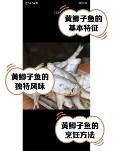 黄鲫鱼有刺吗_多刺鲜美，干炸干煎正当时