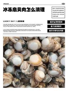 扇贝肉去除内脏图解_清洗扇贝去砂囊，黄裙边可吃