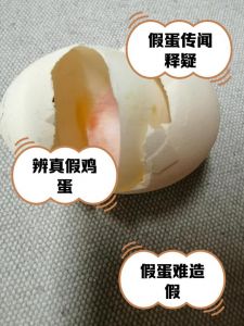 怎么辨别假鸡蛋和真鸡蛋的区别_真假鸡蛋怎么分？看外观闻味道！