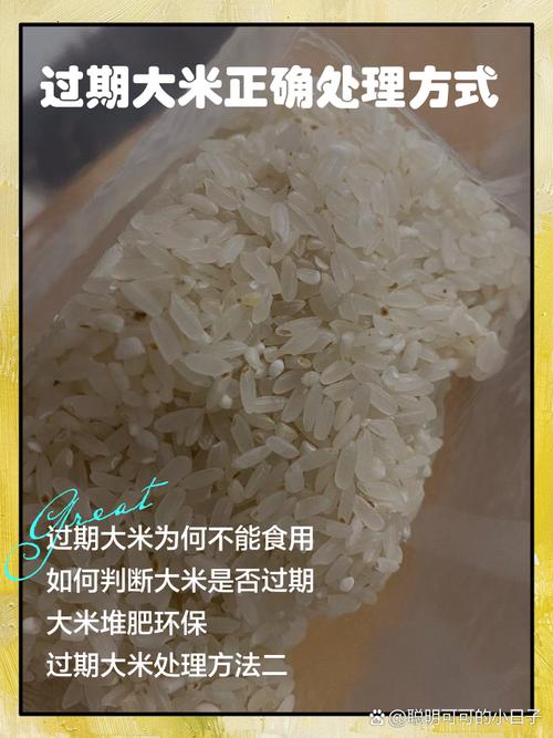 大米多长时间可以煮熟_各种煮饭方法时间不同，泡米可缩短时间