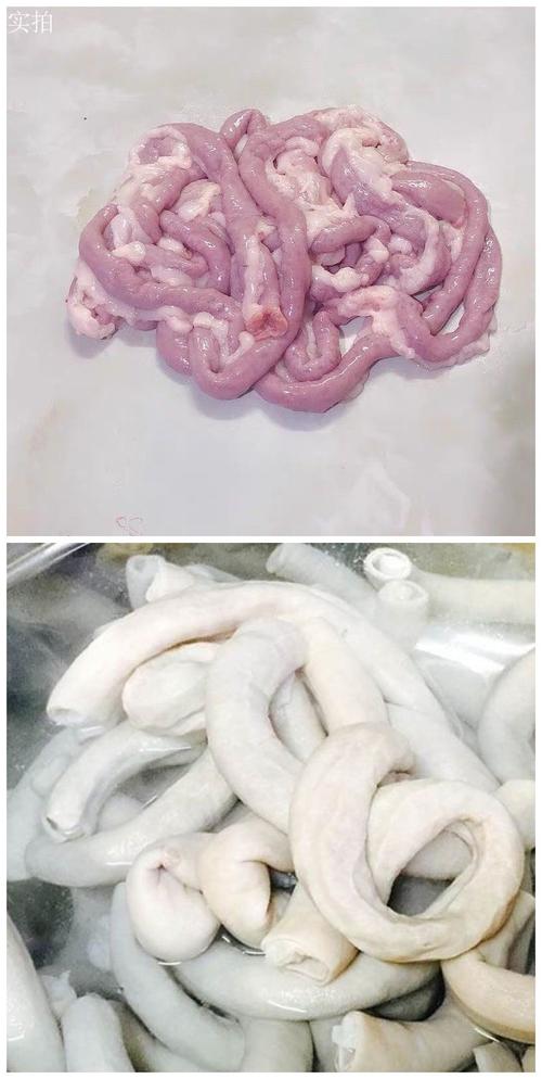 苦肠是哪个部位图解_带苦味的猪小肠，非遗美食，润燥止血
