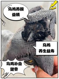 乌鸡和普通笨鸡的区别_乌鸡普通鸡哪个好？营养对比，吃肉更佳