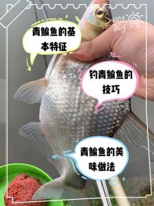 鳊鱼和鲫鱼哪个刺多_鳊鱼刺少，鲫鱼刺多，吃鱼选哪个？