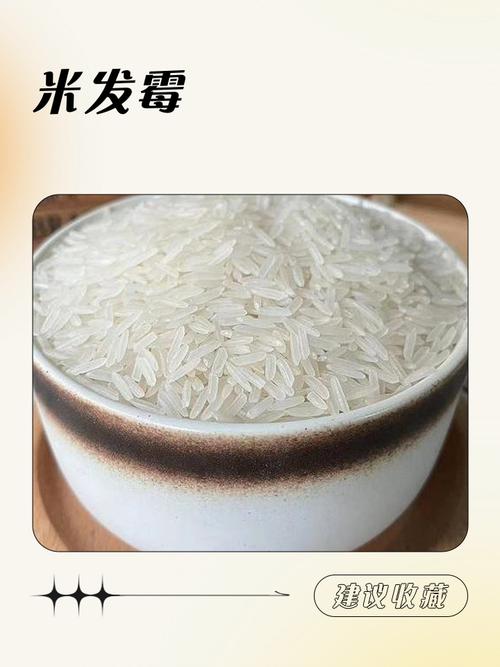 熟大米常温放多久会变质_米饭保存看温度和密封，变质快需及时扔！