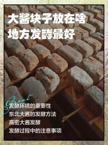 怎么看酱块发没发好_自制酱块发白正常，异常霉变勿食