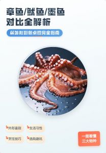 墨鱼和鱿鱼的营养区别_墨鱼炖汤鱿鱼炒，蛋白质丰富脂肪低