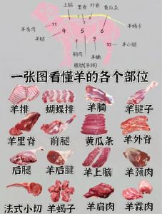 羊腩部位图解_肥瘦相间，软糯香浓