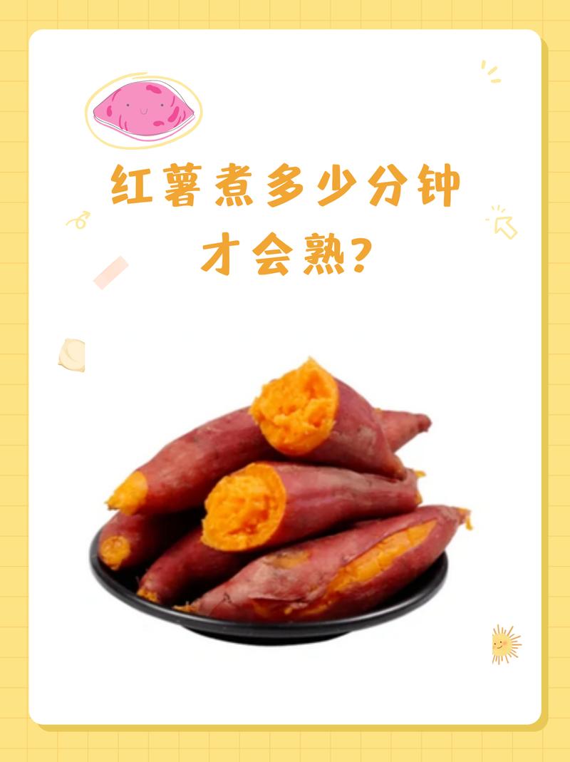 红薯一般煮15分钟能熟吗_红薯煮多久熟？大小品种锅具都看