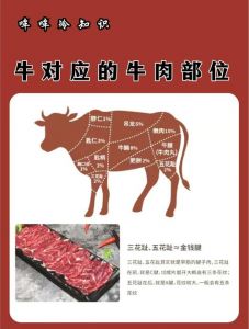 牛四两是牛的哪个部位_脊背嫩肉，煎烤涮锅佳选！