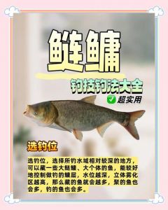花鲢和大头鱼的区别_花鲢白鲢怎么分？头大鳞点花鲢，白鲢纯白头稍小