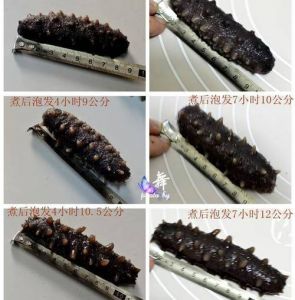 干海参24小时怎么泡发图解_挑选优质干海参，泡发三步Q弹饱满！