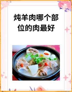 炖羊肉什么部位_炖羊肉选对部位，鲜嫩不腻暖心窝