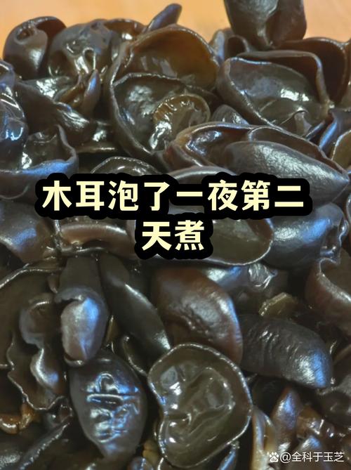 干木耳煮15分钟能不能熟_泡发煮多久看口感 干木耳煮15分钟能不能熟_泡发煮多久看口感