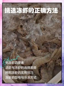 盐冻虾与水冻虾的区别_口感形态大不同