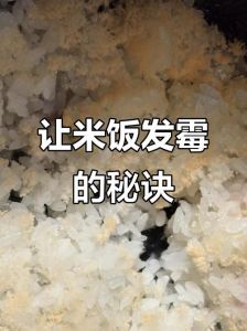 熟大米变质的标准_米饭发黄长毛？快扔掉别吃！