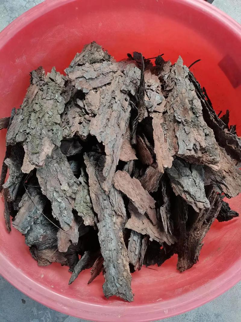 腐熟的松针会有虫子吗_松针土要暴晒杀菌，混合后用，自制更环保
