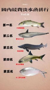 淡水鱼属于海鱼吗_环境体型口感大不同