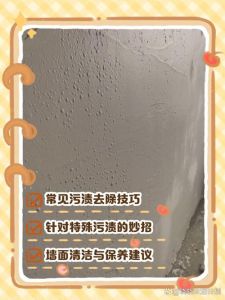 乳胶漆墙面脏了怎么处理_乳胶漆墙面污渍处理方法