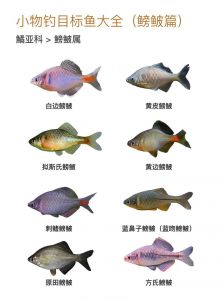 鲩鱼有没有小刺_无刺鲜嫩，怎么吃都美味！