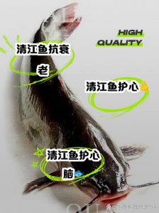 清江鱼有没有小刺_清江鱼少刺多肉，湖北特产美味！
