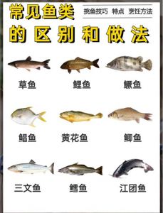 草鱼和鲤鱼哪个刺多_草鱼鲤鱼刺不同，做法营养有讲究