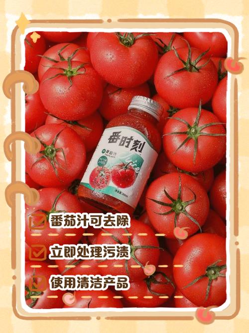 番茄榨汁会破坏营养吗_自制鲜榨番茄汁，营养好又棒！