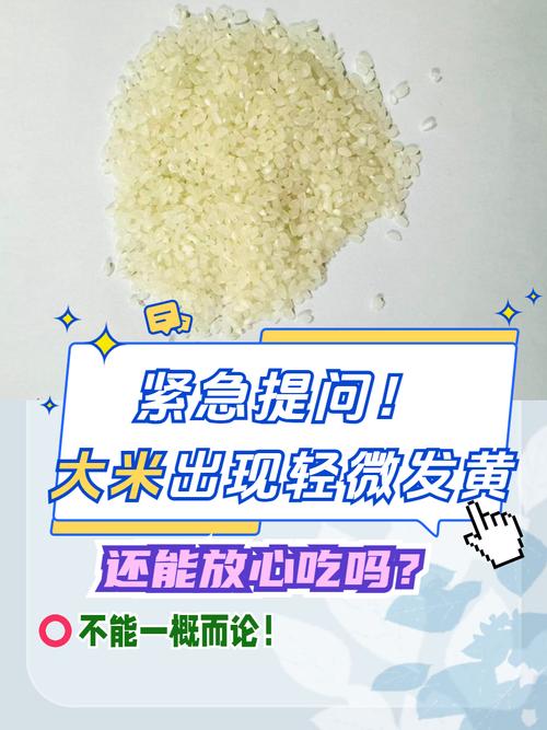 大米蒸熟出现黄色的米_蒸米饭变黄原因及处理方法 大米蒸熟出现黄色的米_蒸米饭变黄原因及处理方法
