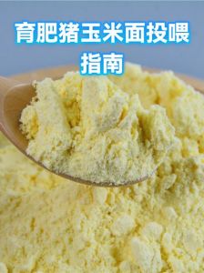 生玉米面和熟玉米面喂狗哪个好_玉米面煮熟喂狗好消化，但别光喂，要搭配营养