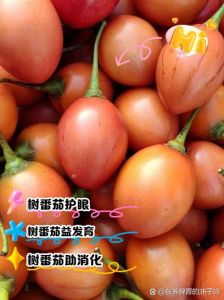 树番茄和毛辣果的区别_两种不同番茄介绍