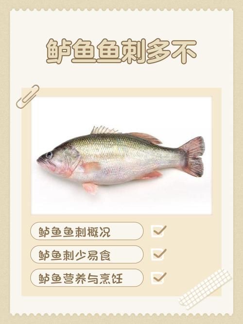 红烧鲈鱼和红烧黑鱼哪个刺多_鲈鱼红烧肉质嫩,黑鱼红烧风味足,看喜好选鱼! 红烧鲈鱼和红烧黑鱼哪个刺多_鲈鱼红烧肉质嫩,黑鱼红烧风味足,看喜好选鱼!