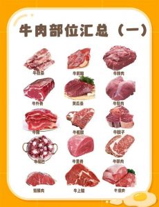 牛肉馅用哪个部位的肉_部位与技巧